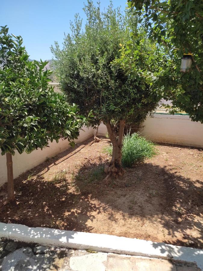 Double M Near Athens Airport Apartment Markopoulo Mesogaias Bagian luar foto